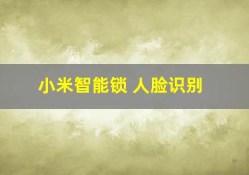 小米智能锁 人脸识别